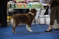 IMG_0699
