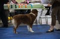 IMG_0700