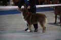 IMG_0707