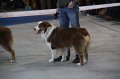 IMG_0714