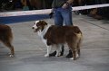 IMG_0715