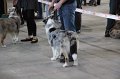 IMG_0718