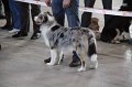 IMG_0721
