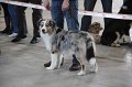 IMG_0722