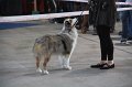 IMG_0726
