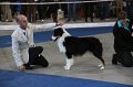 IMG_0727