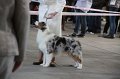 IMG_0729