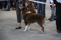 IMG_0730