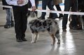 IMG_0731
