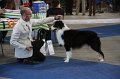 IMG_0735