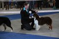 IMG_0736