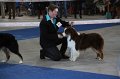 IMG_0737