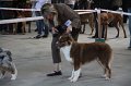 IMG_0742