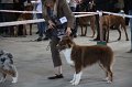 IMG_0743