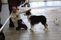 IMG_0751