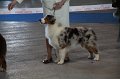 IMG_0759