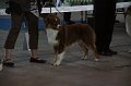 IMG_0762