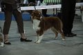 IMG_0763