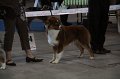 IMG_0764