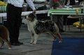 IMG_0766