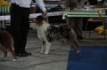IMG_0767