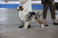 IMG_0768