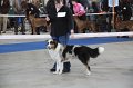 IMG_0779