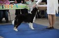 IMG_0787