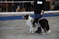 IMG_0793