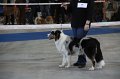 IMG_0794