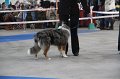 IMG_0795