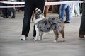 IMG_0797