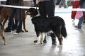 IMG_0802