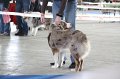 IMG_0803