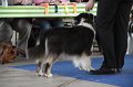 IMG_0807