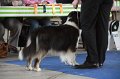 IMG_0808