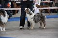 IMG_0813