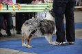 IMG_0816