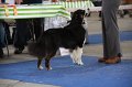 IMG_0818