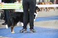 IMG_0822