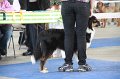 IMG_0823
