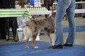 IMG_0825