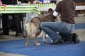 IMG_0826