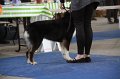 IMG_0827