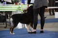 IMG_0828