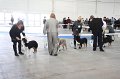 IMG_0829