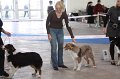 IMG_0832