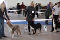IMG_0834