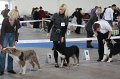 IMG_0839