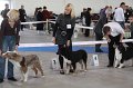 IMG_0840